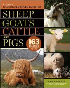 livestock breed guide